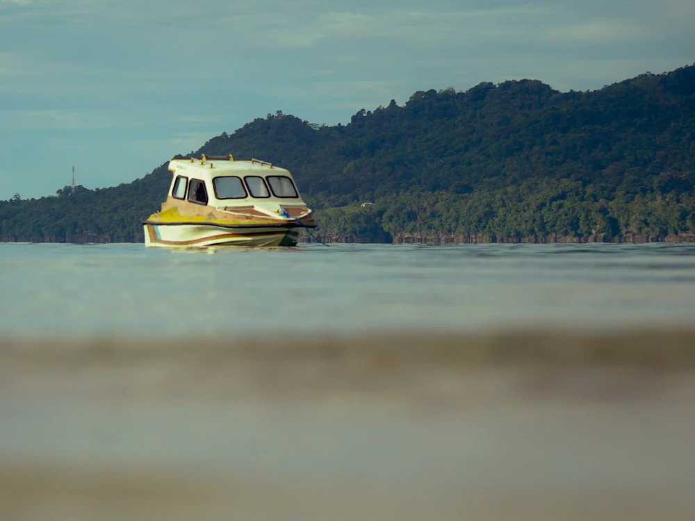 A small fast boat at anchor off a forested island in flat water