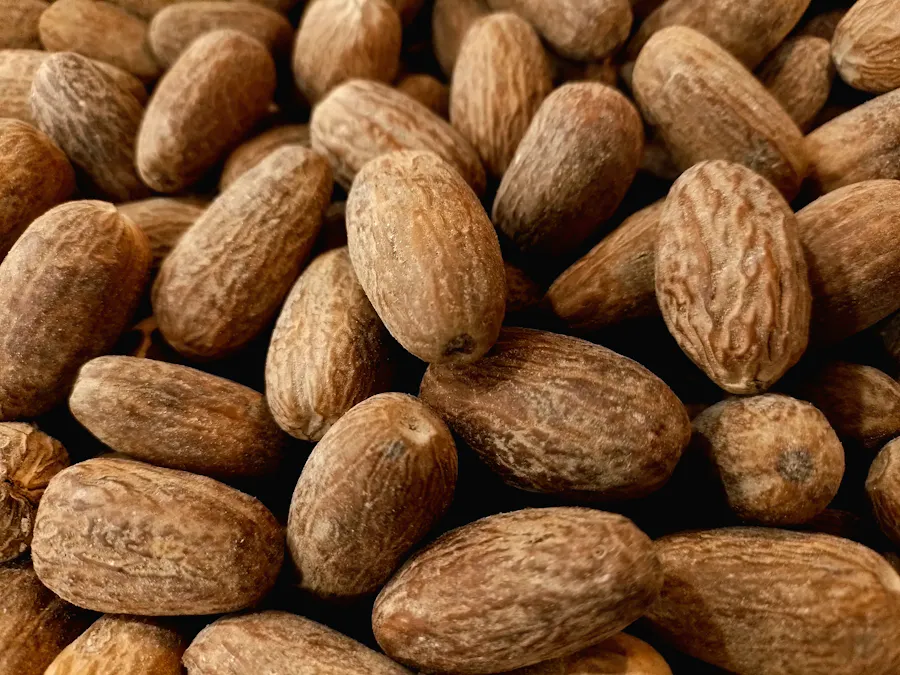 Dried nutmeg seeds in close-up