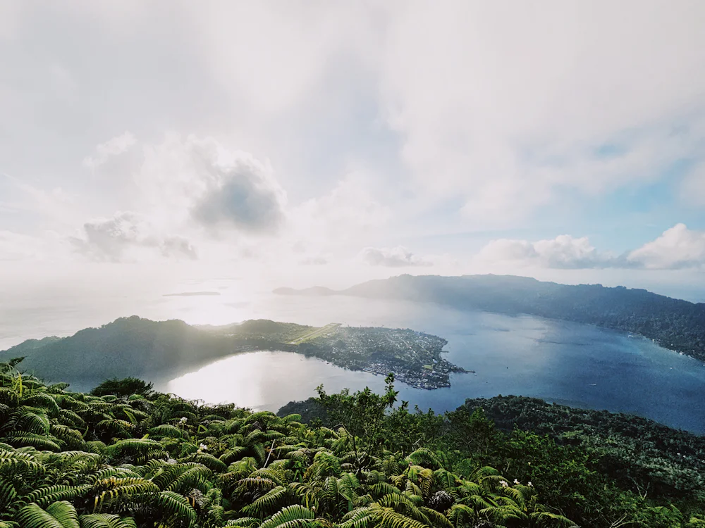 A wide bay seen from a forested volcanic ridge at first light