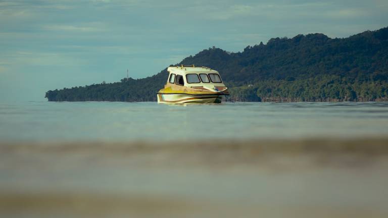 A small fast boat at anchor off a forested island in flat water