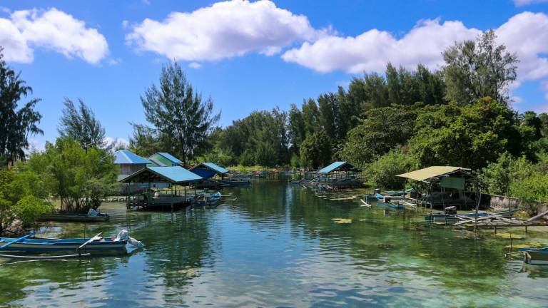 Stilt houses along a calm shoreline in Maluku