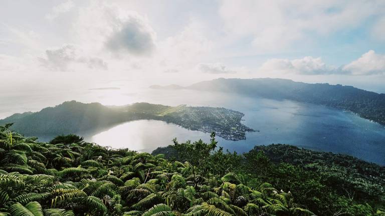 A wide bay seen from a forested volcanic ridge at first light